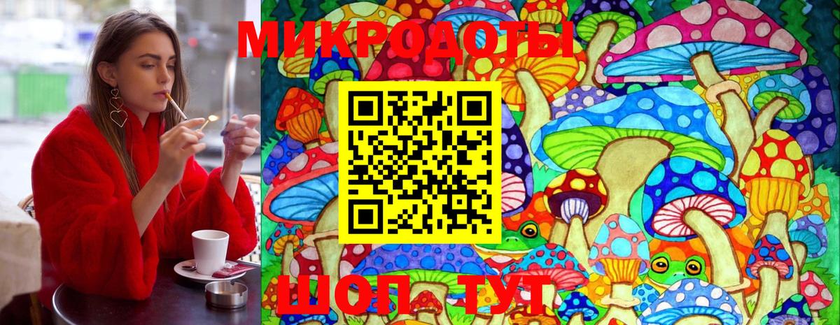 Галлюциногенные грибы Cubensis Надым