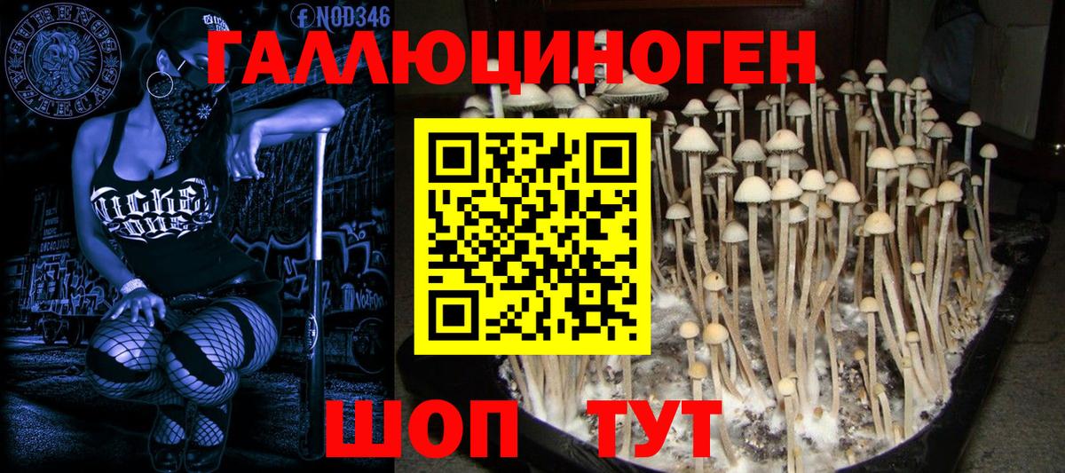 Галлюциногенные грибы GOLDEN TEACHER  Вход с VPN  Галлюциногенные грибы прущие грибы  Надым 